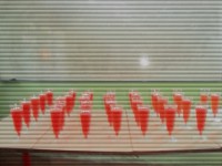 /album/fotogaleria/dsc00214-jpg1/