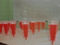 /album/fotogaleria/dsc00215-jpg1/